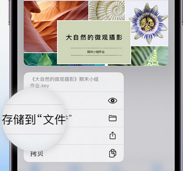 管城回族apple维修中心分享iPhone文件应用中存储和找到下载文件