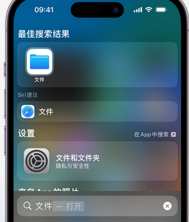 管城回族apple维修中心分享iPhone文件应用中存储和找到下载文件