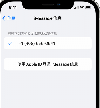 管城回族apple维修iPhone上无法正常发送iMessage信息 