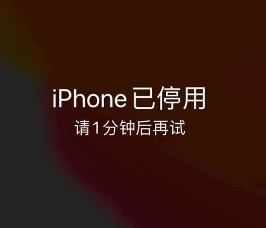 管城回族苹果手机维修分享:iPhone 显示“不可用”或“已停用”怎么办？还能保留数据吗？ 