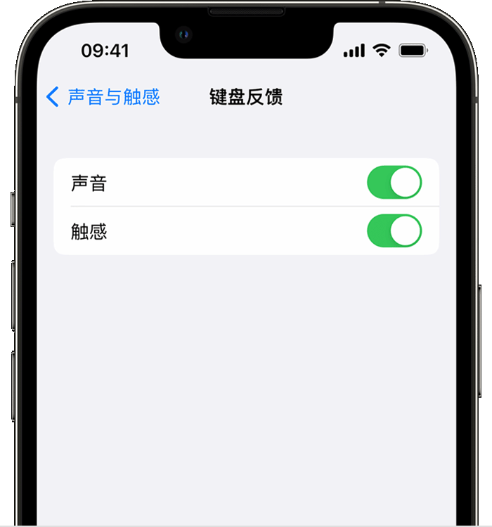 管城回族苹果14维修店分享如何在 iPhone 14 机型中使用触感键盘 