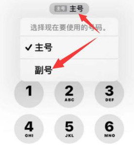 管城回族苹果14维修店分享iPhone 14 Pro Max使用副卡打电话的方法 