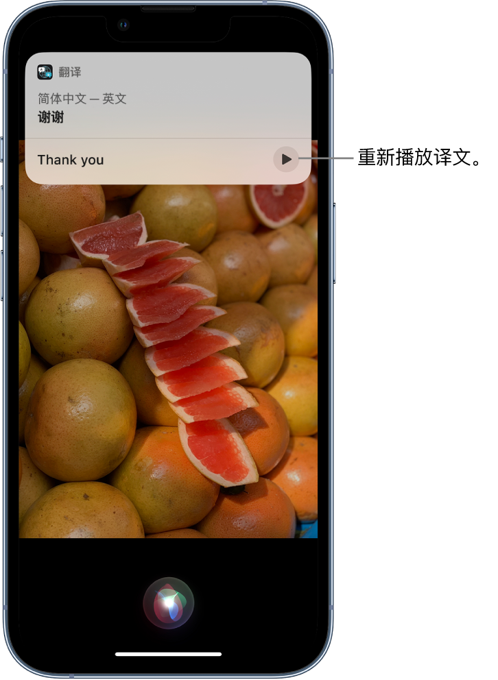 管城回族苹果14维修分享 iPhone 14 机型中使用 Siri：了解 Siri 能帮你做什么 