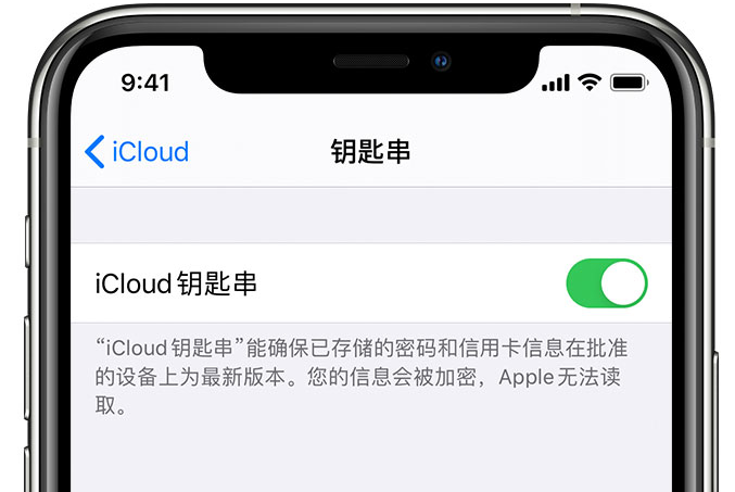 管城回族苹果手机维修分享在 iPhone 上开启 iCloud 钥匙串之后会储存哪些信息 