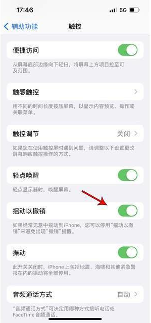 管城回族苹果手机维修分享iPhone手机如何设置摇一摇删除文字 